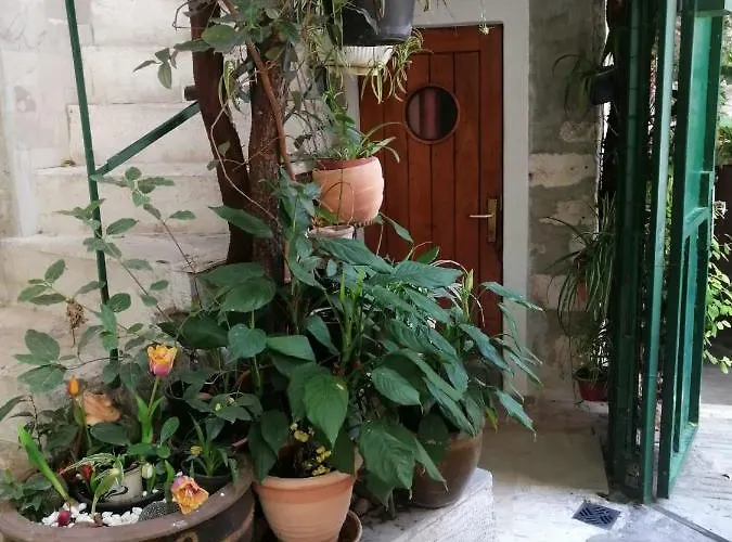Adriana Downtown Split