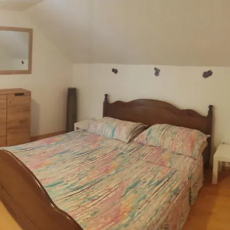 Guest house Adriana Downtown