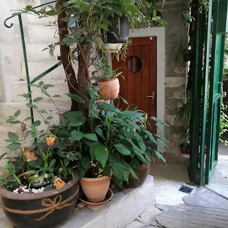 Adriana Downtown Σπλιτ