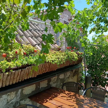 Konukevi Adriana Downtown